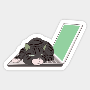 cat sleeping on laptop Sticker